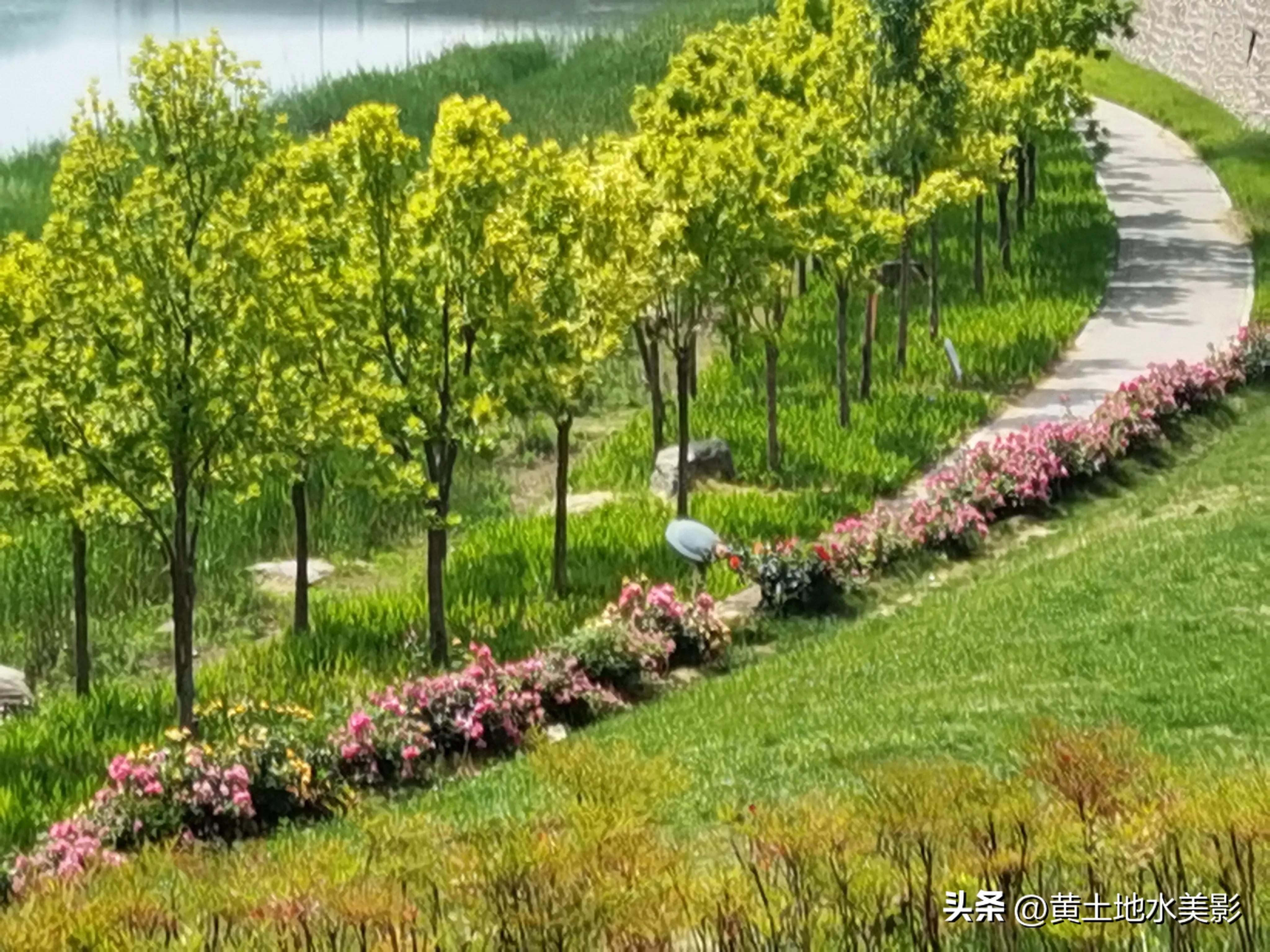 郑州象湖生态公园免费景点推荐,绿湖湿地公园河南