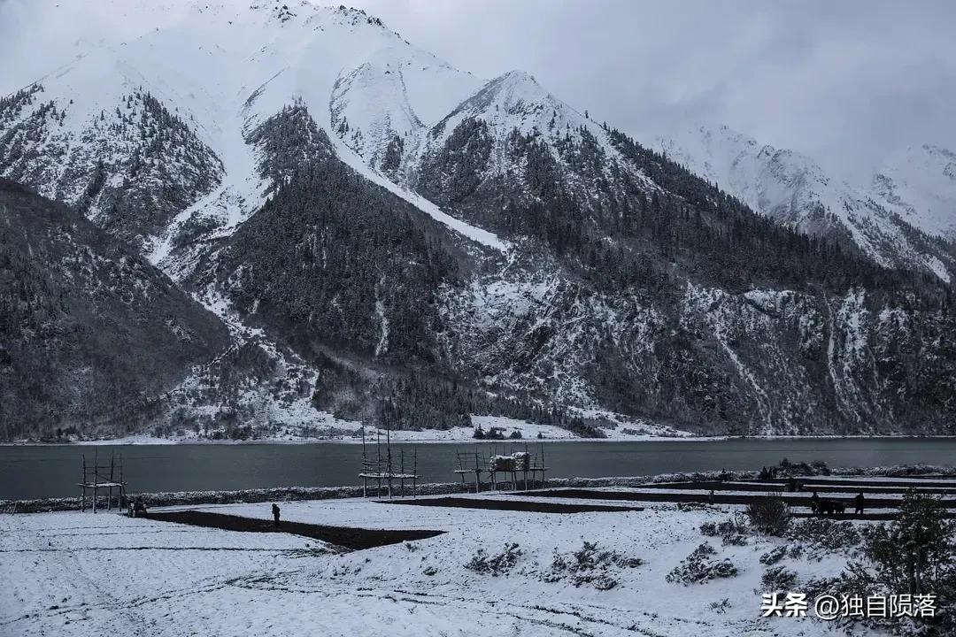 那些年朴树为电影唱过的歌，每一首都能全场大合唱，你喜欢哪首？