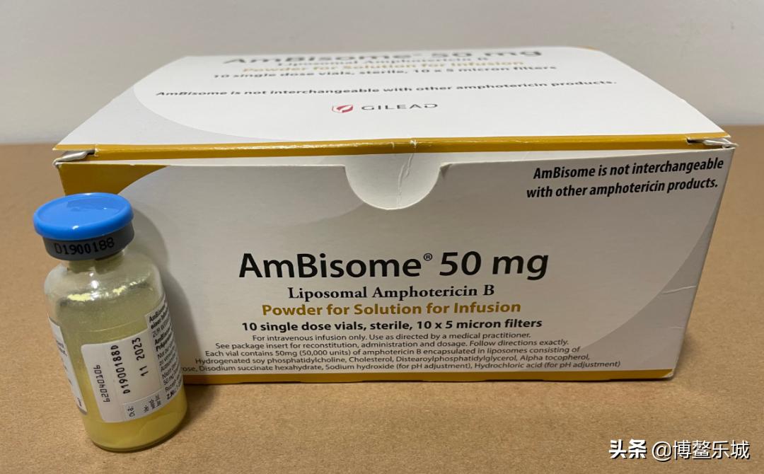 全球抗真菌治疗金标准！乐城引进侵袭性真菌病创新药物AmBisome®