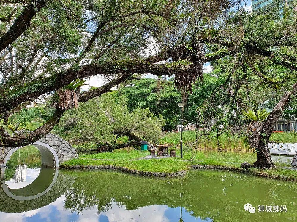 新加坡遛娃免费景点推荐一下,新加坡周末遛娃
