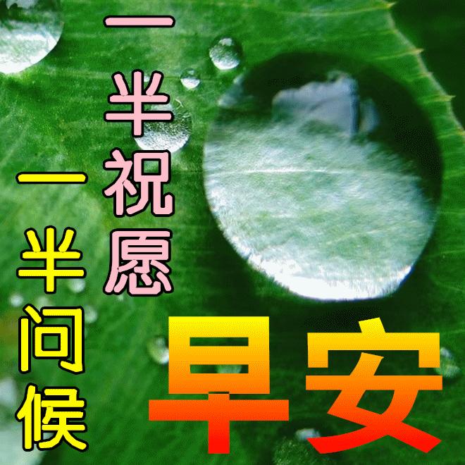 早安送给朋友们的问候祝福句子,早安语录心语心愿