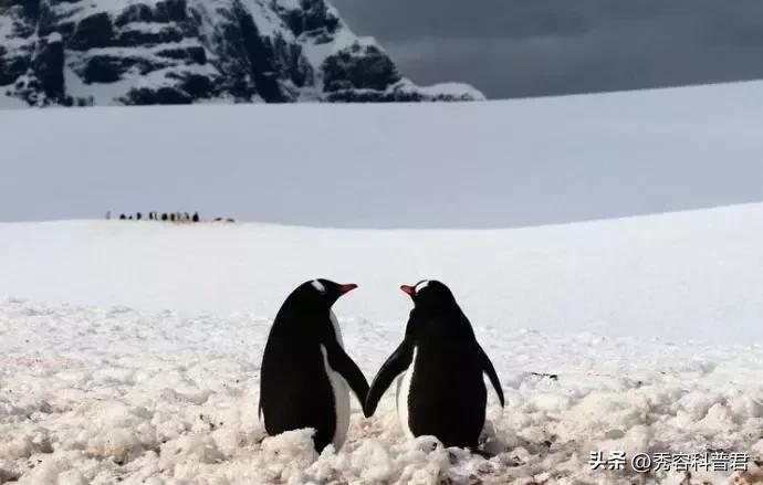 *拍偷**的夫妻生活照，羞羞的