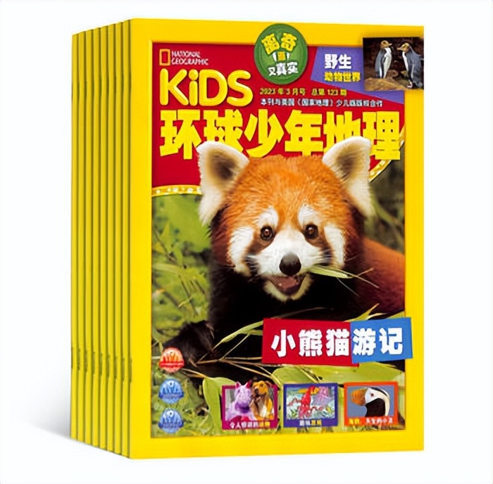 小学生暑假必读分级课外书目录,2024年寒假小学生必读书目