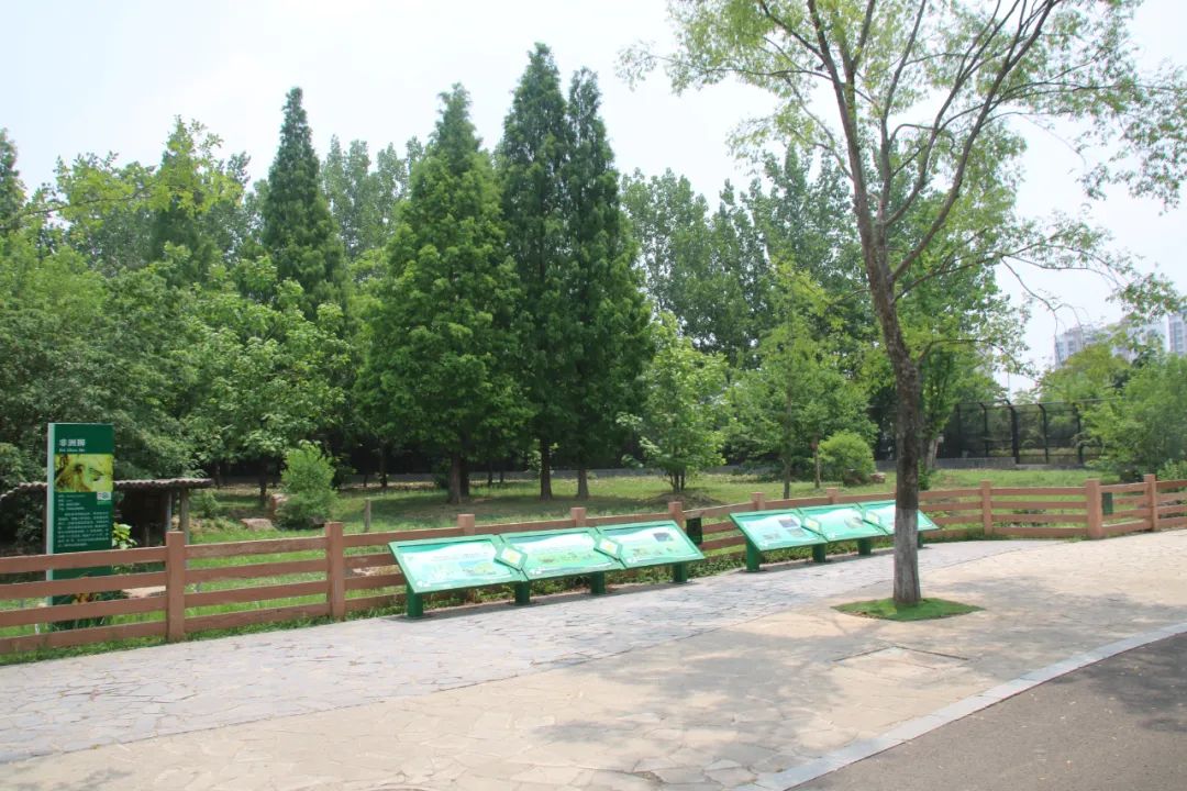 邢台动物园变大了没,淮安动物园开发时间