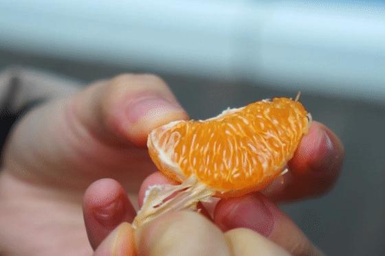 橘子怎么给孩子吃,橘子还是橙子