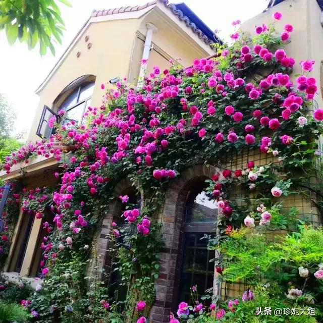 自来熟的人招人讨厌吗,自来熟无语