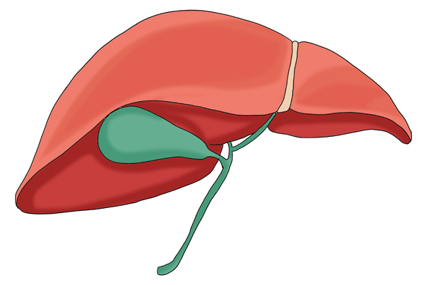 中医：“肾绝齿长，脾绝唇反，肺绝毛脱，肝绝舌缩”，什么意思？