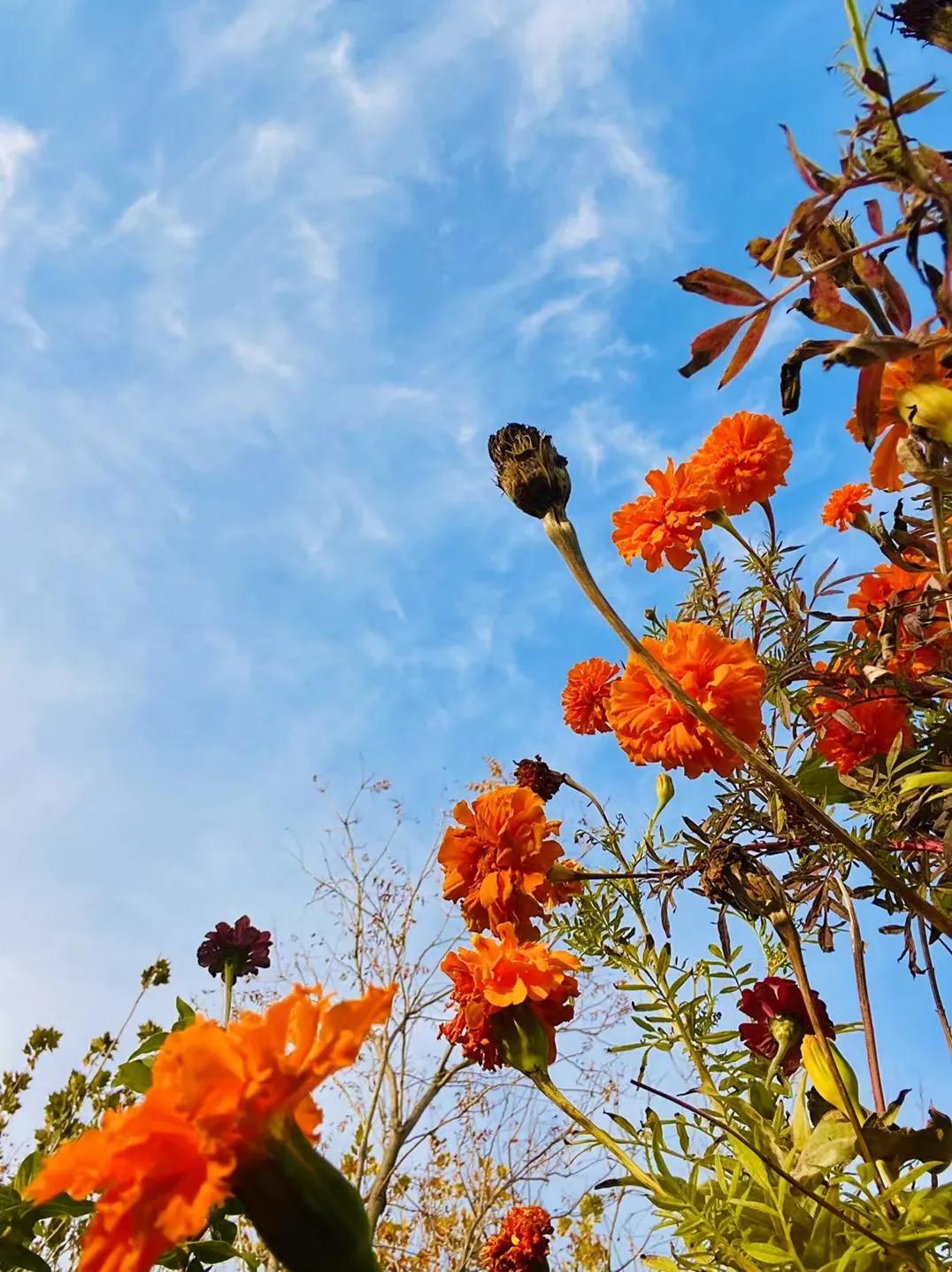 疫情下的天津,疫情下的天津河西