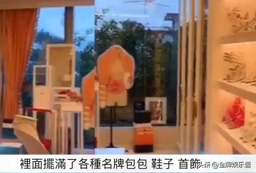 蔡天凤嫁入谭家后突然暴富：买大量的同款包，疑似帮夫家洗钱