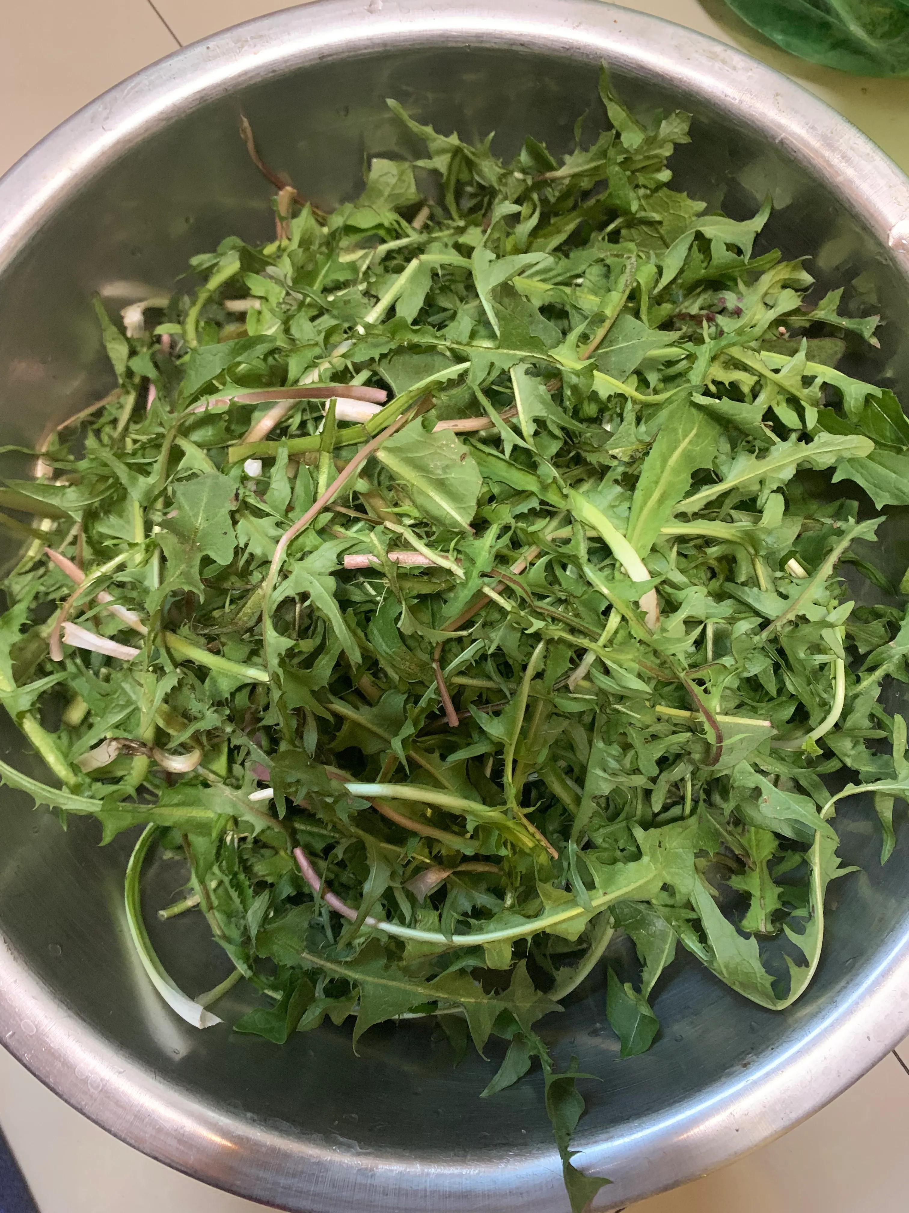 把蒲公英比作成了手掌写出了什么,把蒲公英吃掉