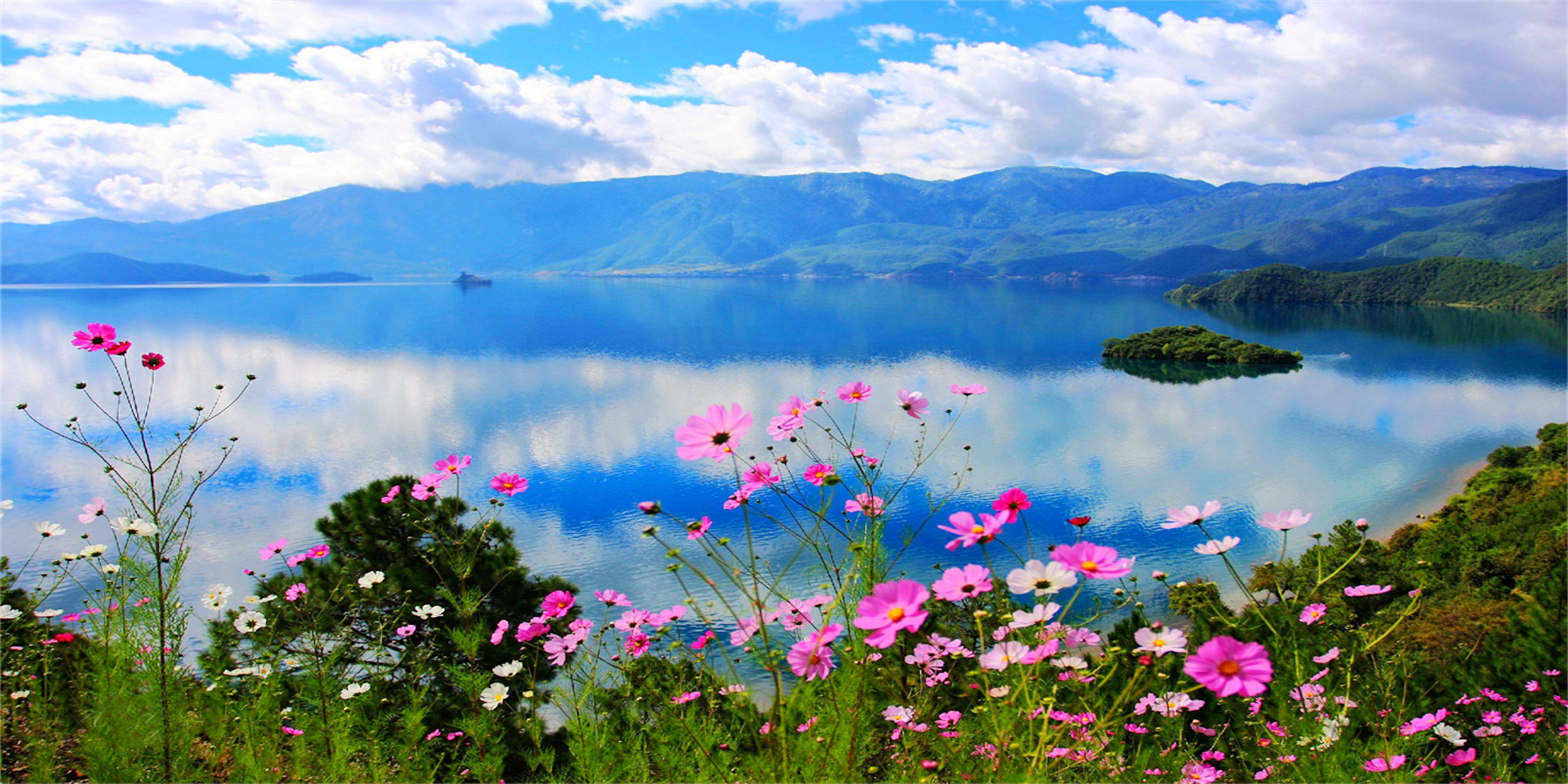 王仕彬,王仕彬百科