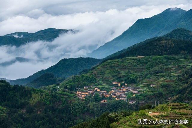 如果你被毒蛇咬的话该怎么自救,如果你在野外被咬了怎么办
