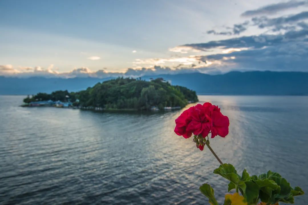 云南旅游避暑地点排名前十名,云南最佳避暑旅游城市