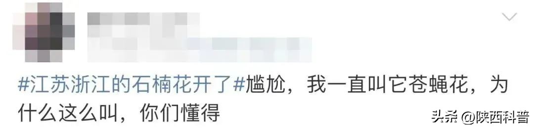 科技之春|“又腥又臭”上热搜！网友：左右“为楠”……专家：其他优点突出，忍耐一下