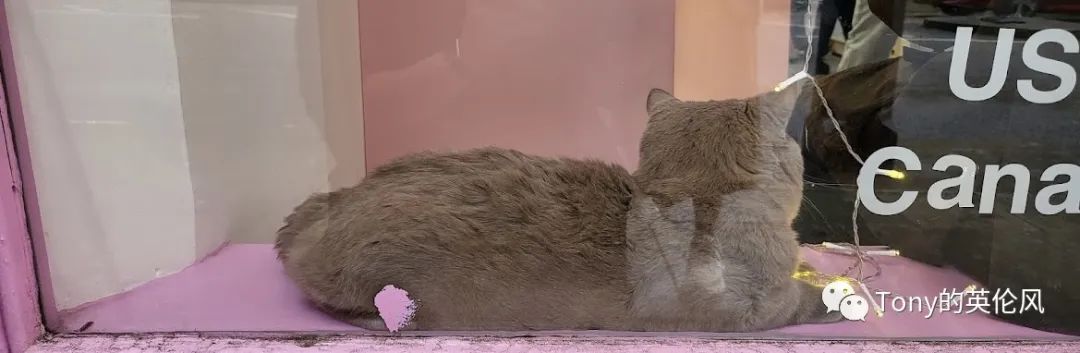 美瞳快用完了？英国日韩美妆购物宝典