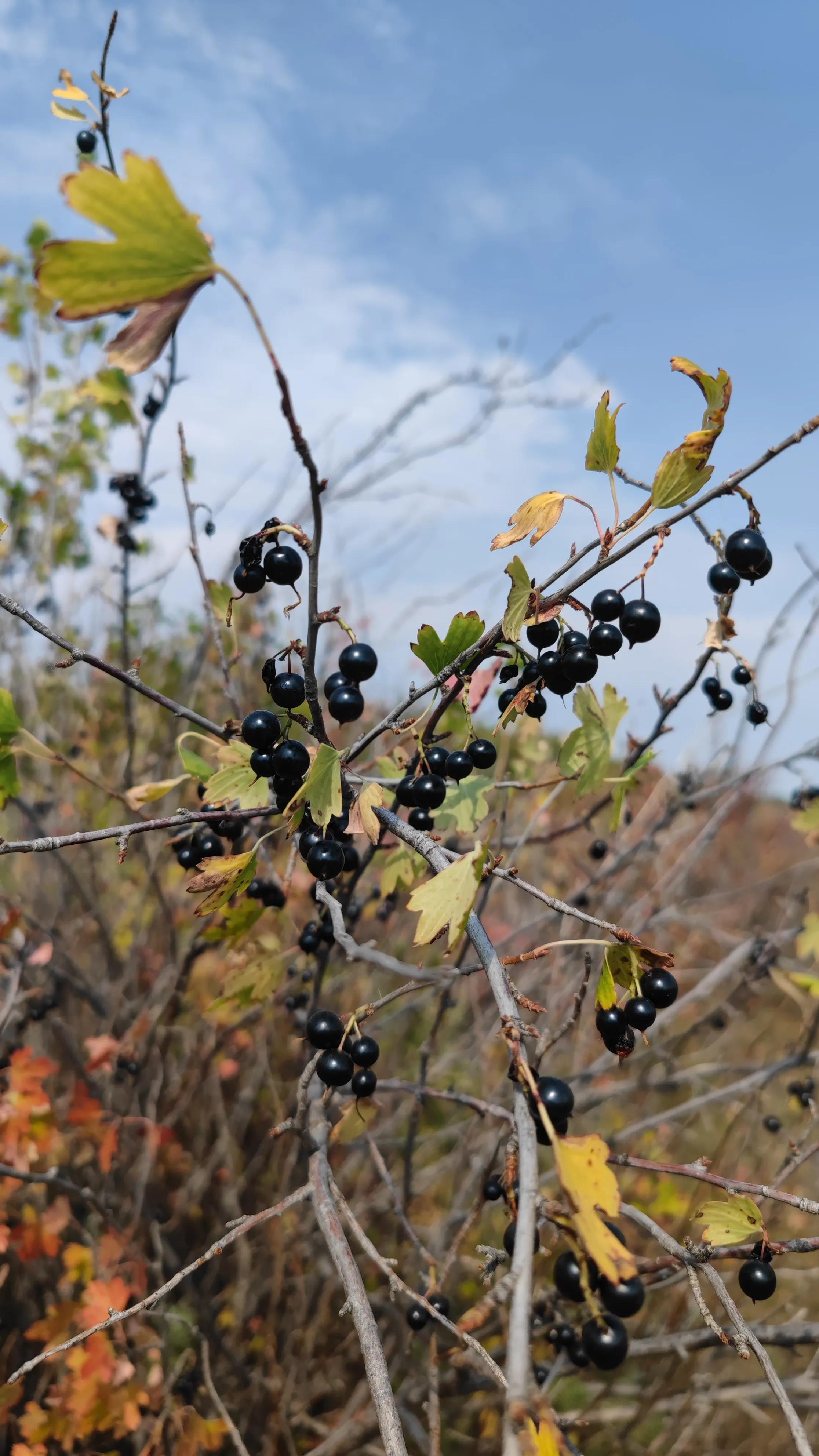 历史冷知识——中国医院的起源