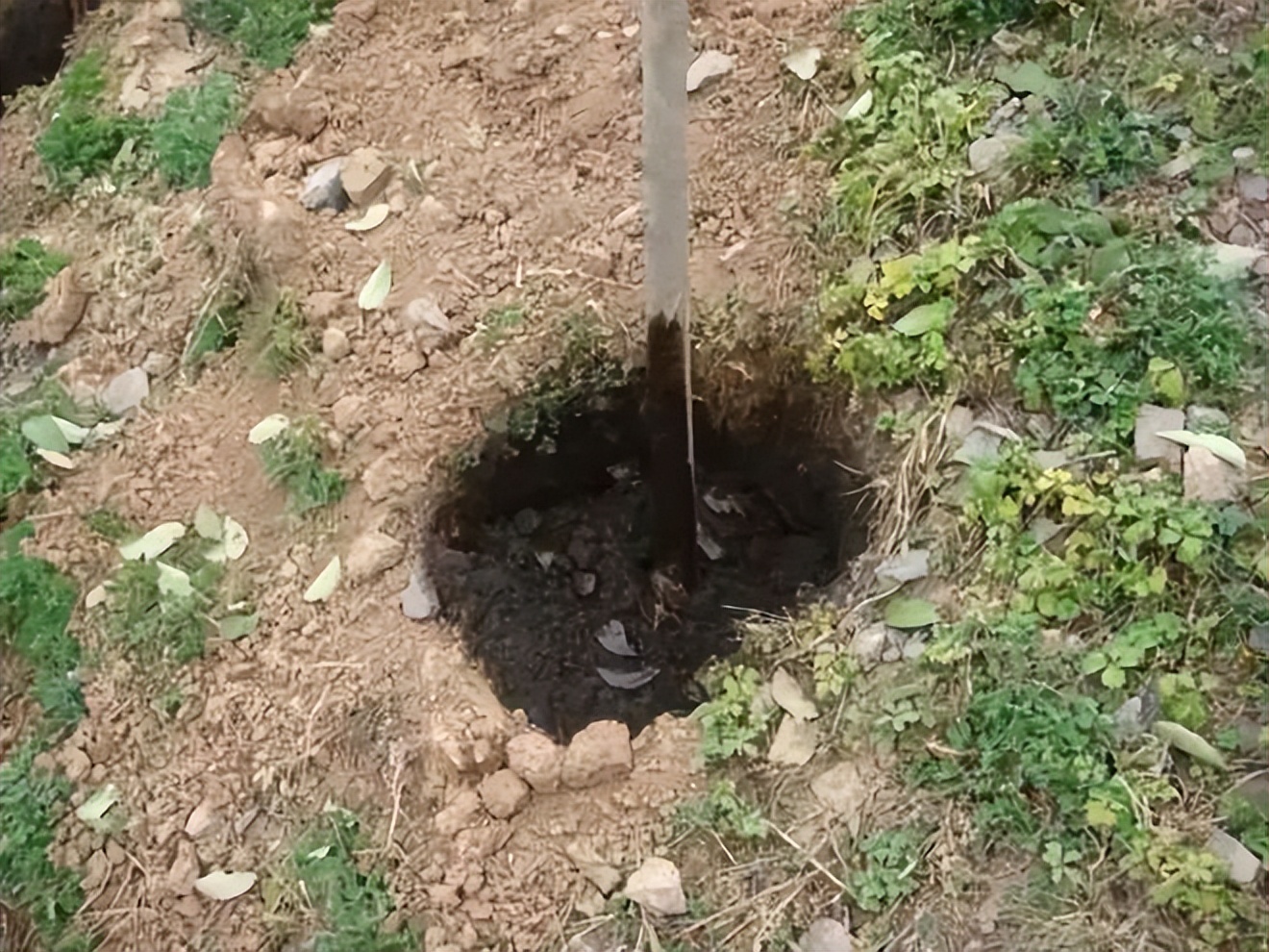 陕西土豆专用黑白地膜,种植土豆用黑地膜白地膜