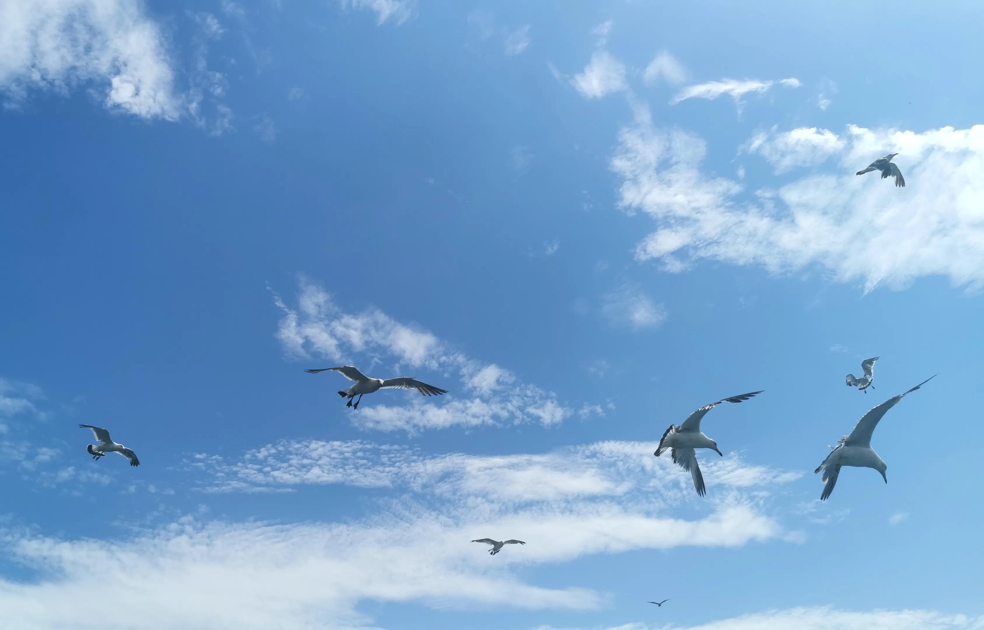 中山广场大连老视频,大连中山广场百年沧桑