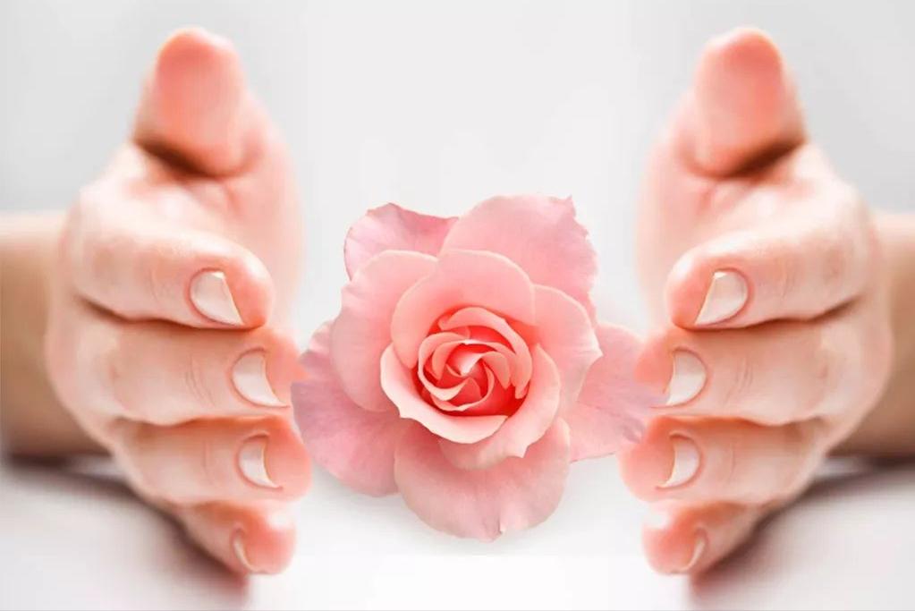 女性阴道外器官结构解剖,女性阴道的12个常识