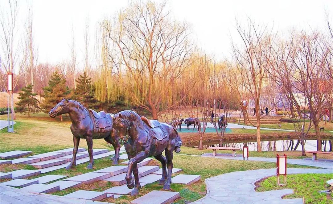 日本城市为什么那么干净,日本东京公园现状