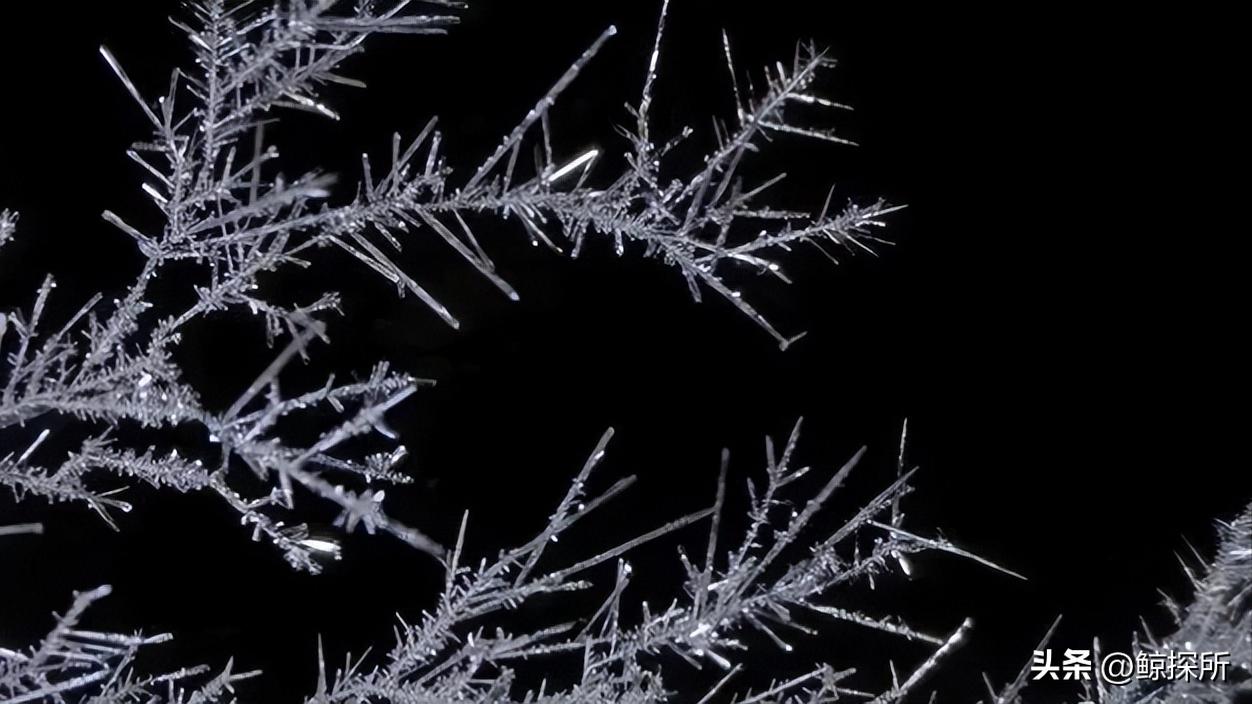 蜡在固液相界面上长时间结晶,降低了管道的通畅性,该如何应对