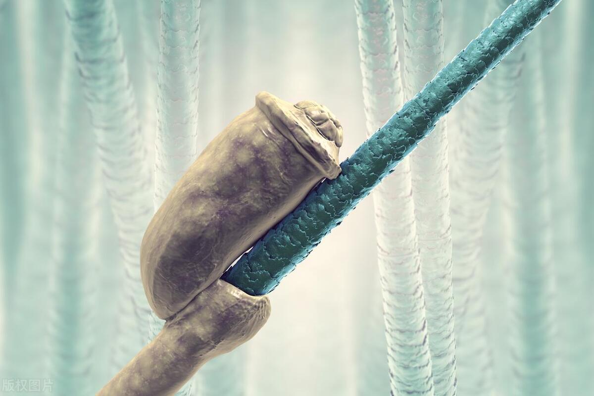 毛囊炎皮肤病是怎么引起的,皮肤病真菌毛囊炎症状