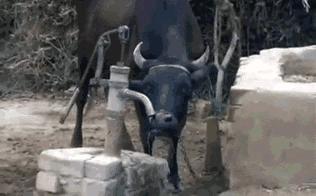 女友刚洗完澡该怎么回复,女朋友洗完澡冷得很该怎么回复