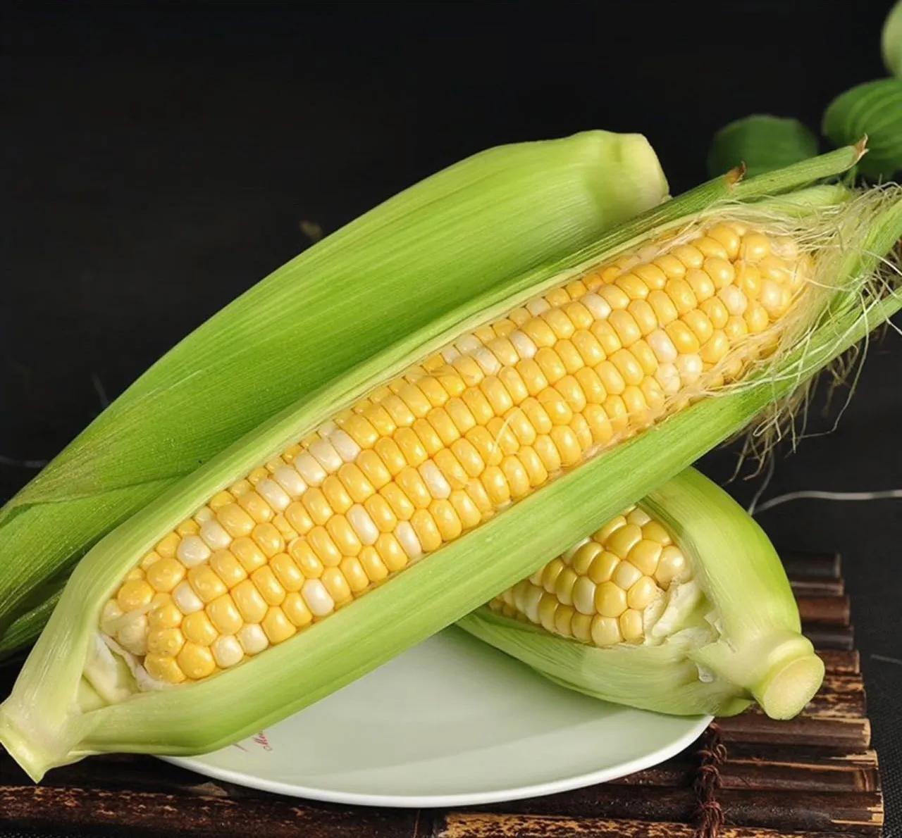 承包二百亩地，只种一茬小麦，亩效益一千多元