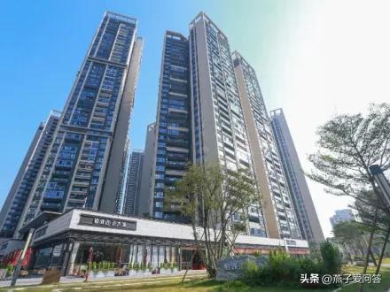 老婆不听劝在深圳买了280万的房,我在深圳买第二套房的故事