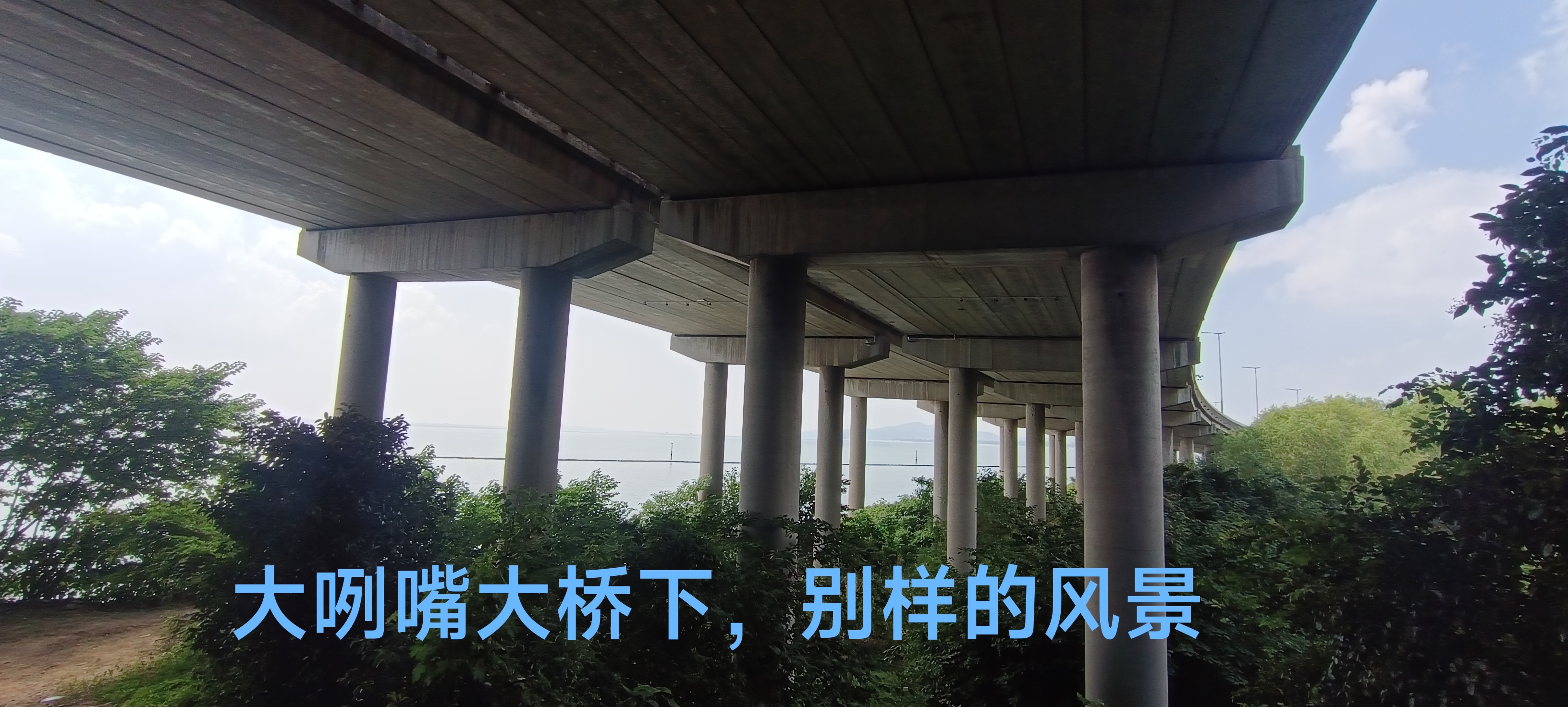 千里走铁骑价格,千里走单骑