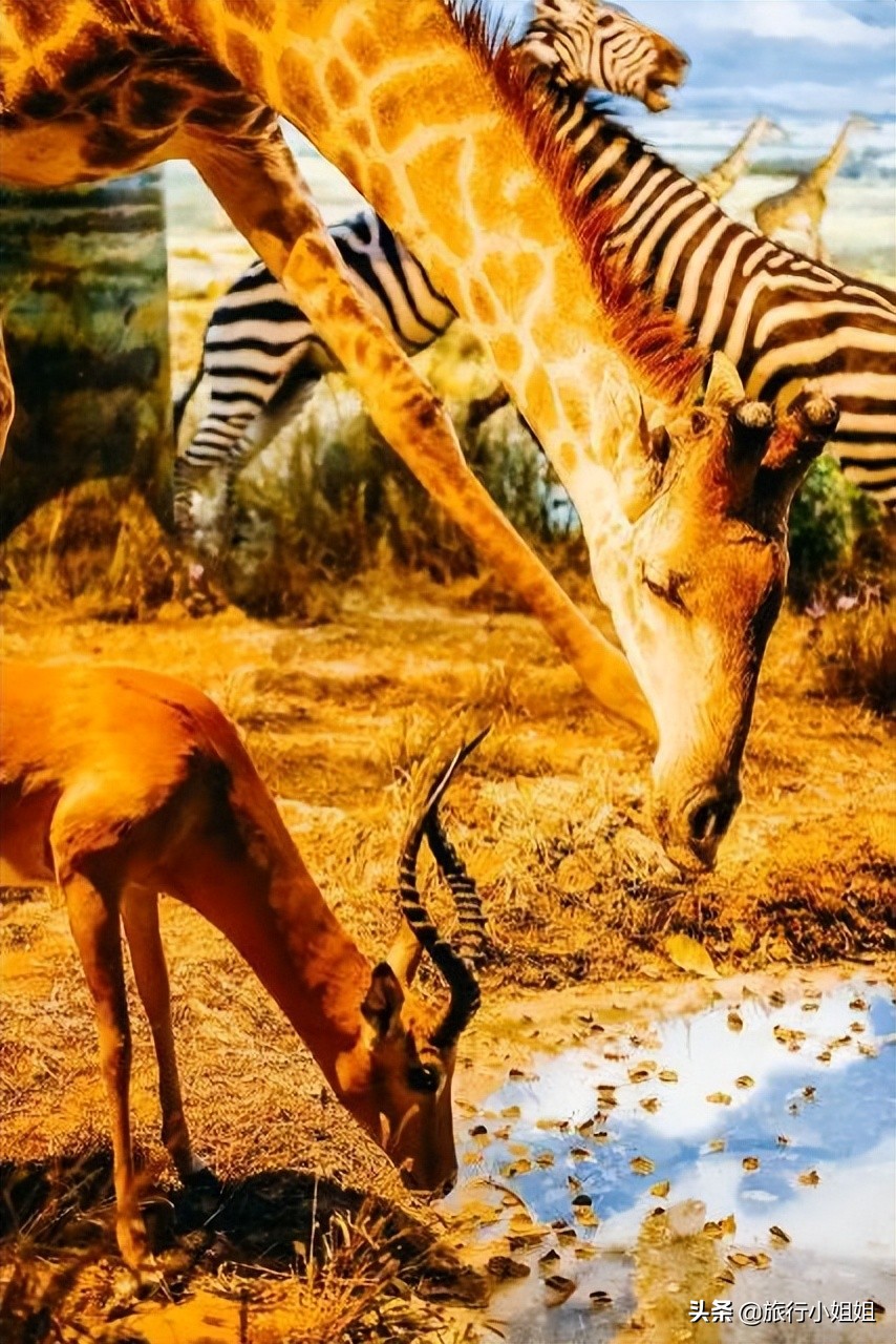 夏日海边微醺氛围感,滨城风光秀丽浪漫气息爆表