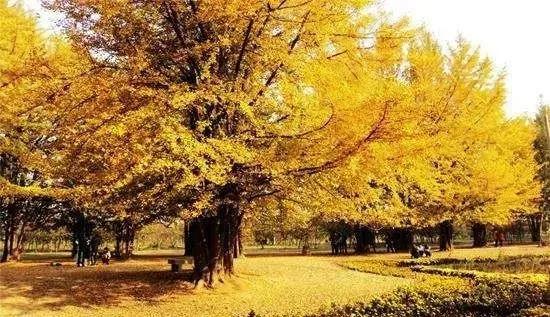 一个穷屌丝炒股逆袭的人生,一位草根炒股高手的故事