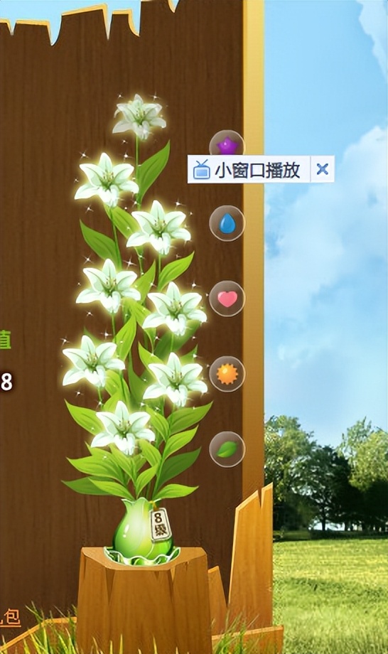 时代的眼泪，QQ空间花藤将于10月18日停止运营引发关注