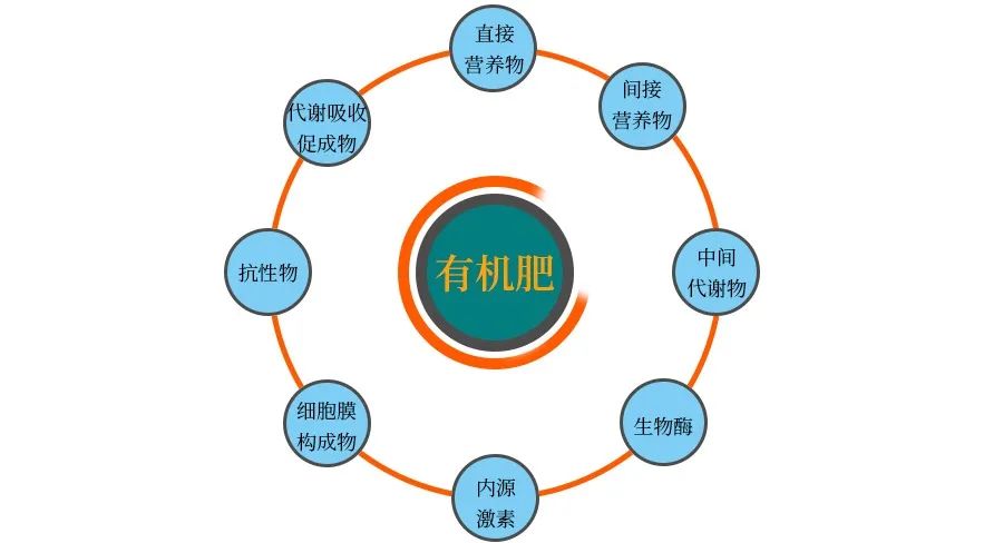 增施生物有机肥是解决果树死树的根本途径