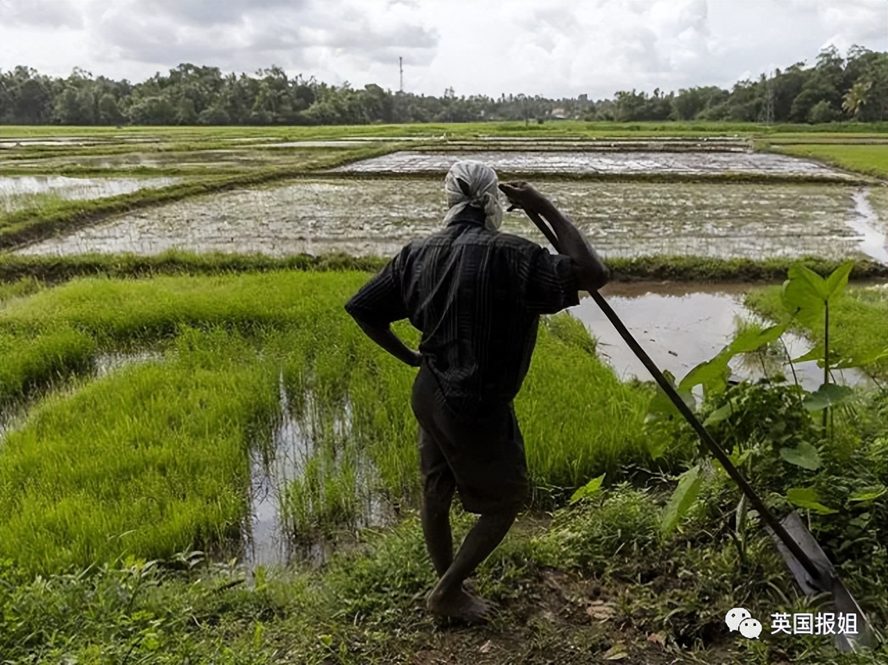 斯里兰卡经济彻底崩溃！燃油告罄全国停摆，粮食短缺，九成人饿着