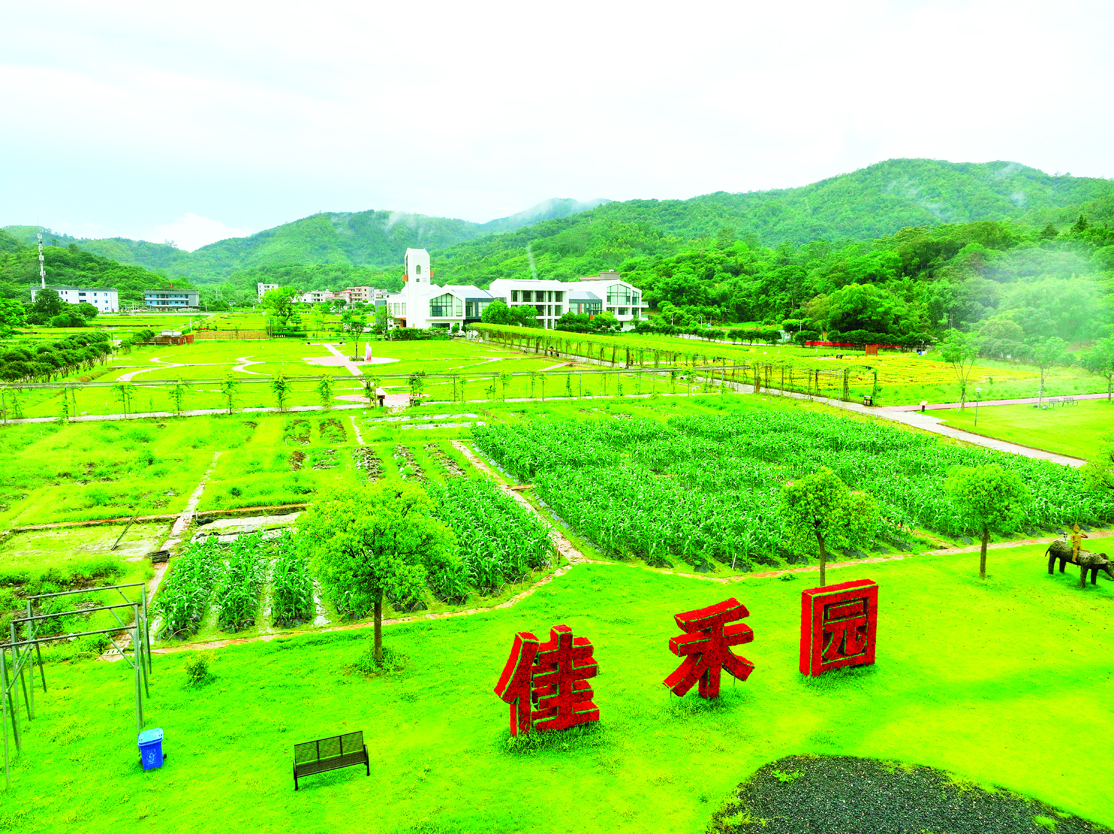 共赏“良”辰美“井”！惠阳区良井镇加快三产融合