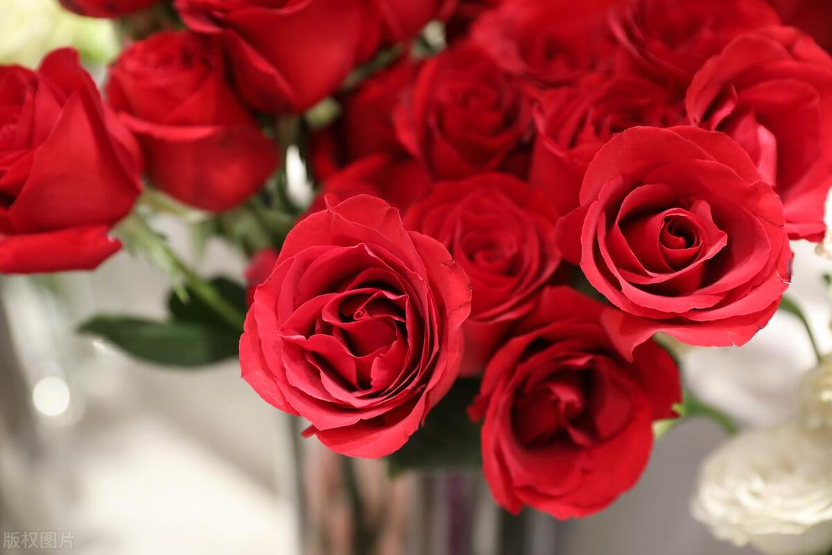 钱钱钱，到处是为钱的烦恼