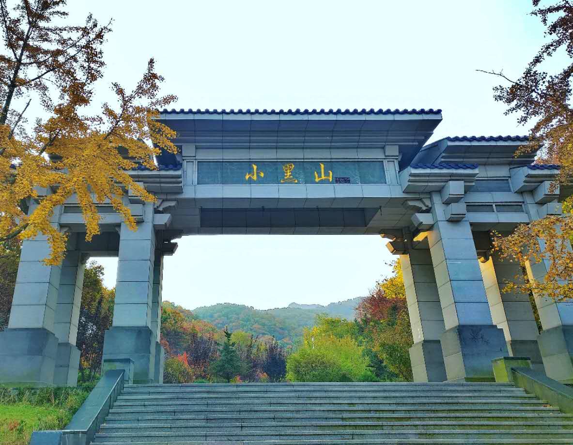 十一不离连,来“东沟”玩个够