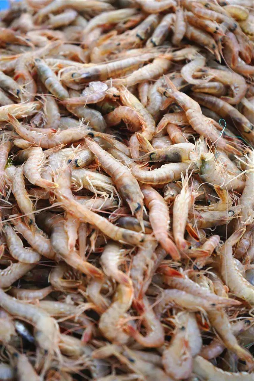 15种海鲜的经典吃法及价格,常见的海鲜正确吃法大全