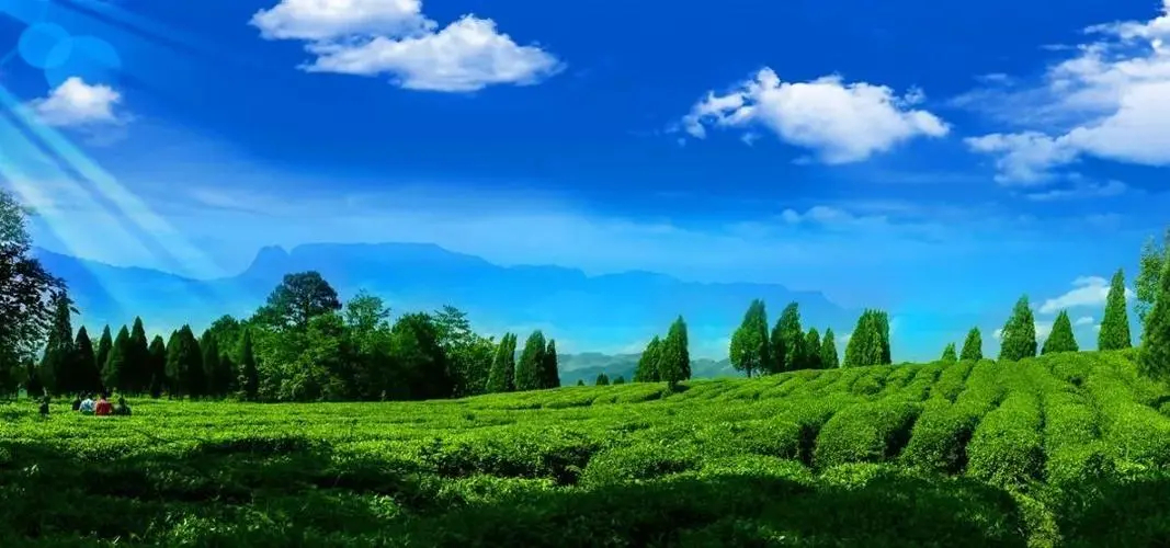 江苏南通穷地方,江苏最好的农村在南通