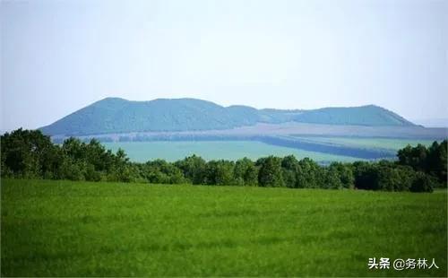 园林绿化管护费,森林管护费最新政策