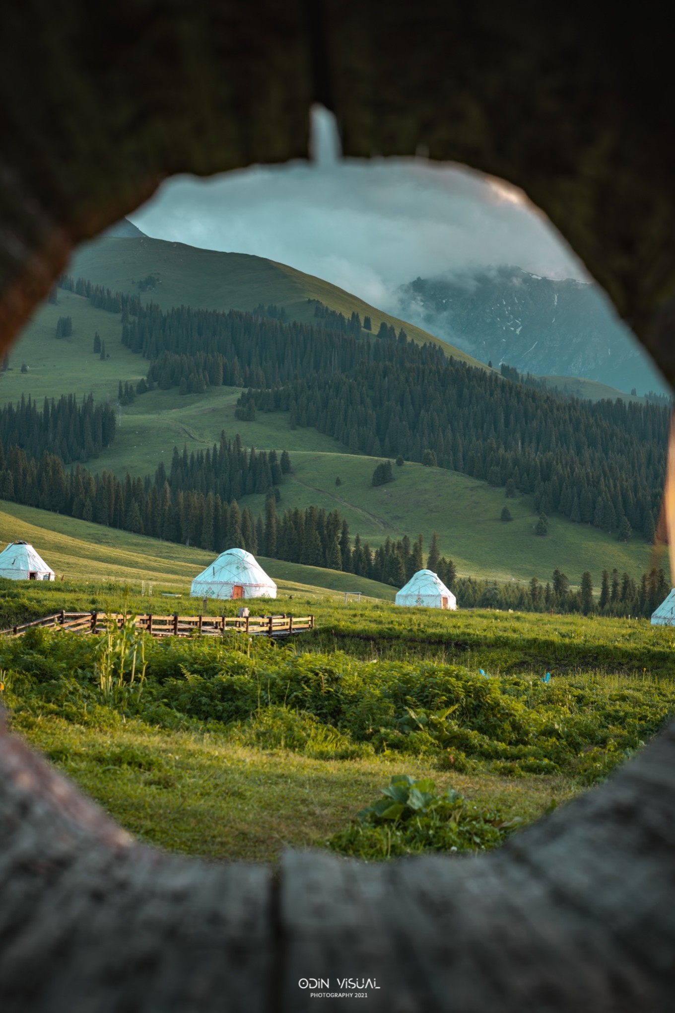 去新疆发现伊犁的美,世界之美尽在伊犁