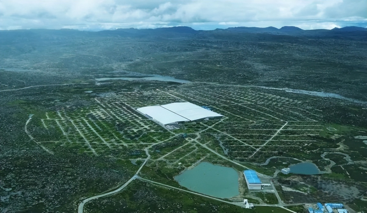 高山上的采药人,高山上的鸟类