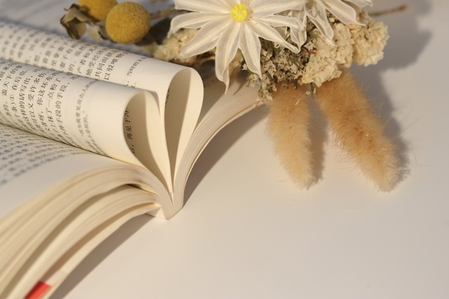 网络小说还有前途吗,你对网络小说的发展前景怎么看