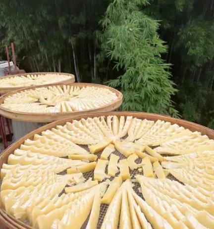 新鲜春笋吃不完怎么做成笋干,竹笋的家常做法吃不完怎么保存