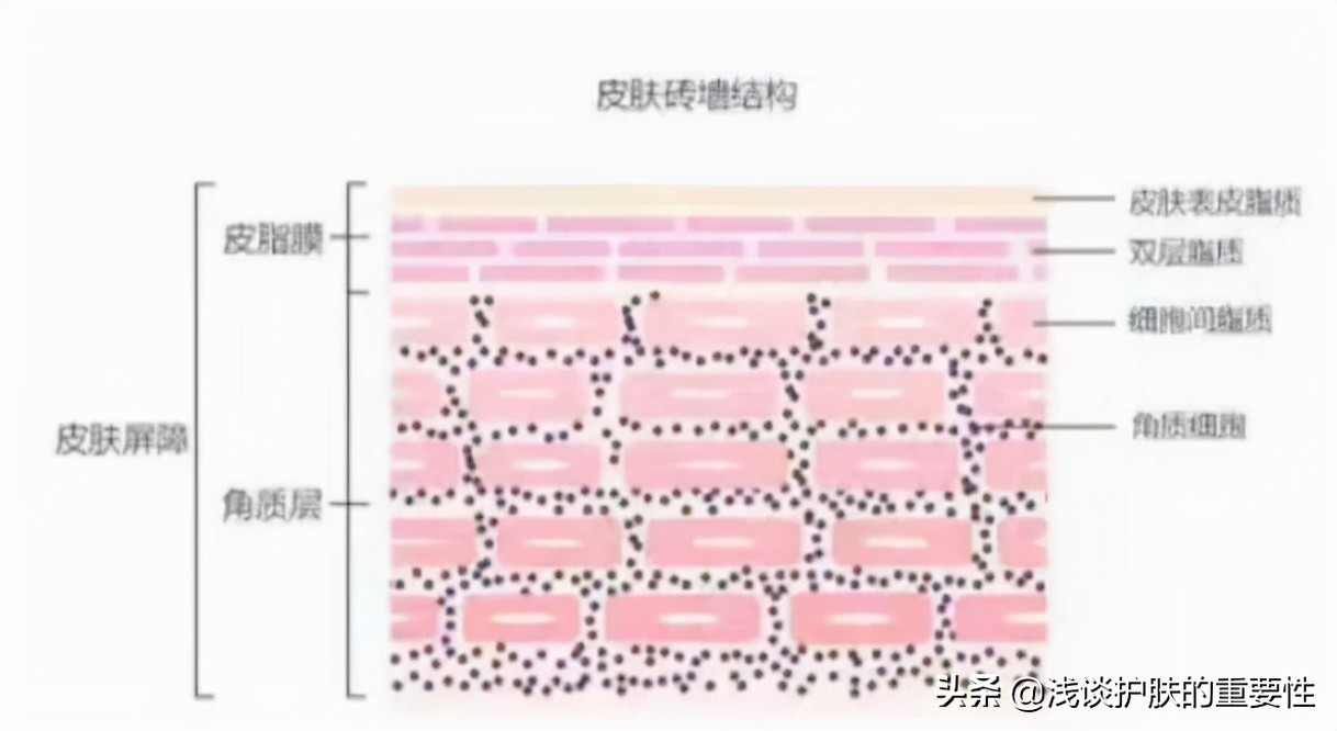 角质层薄有红血丝最好的修复方法,鼻子周围角质层薄泛红血丝