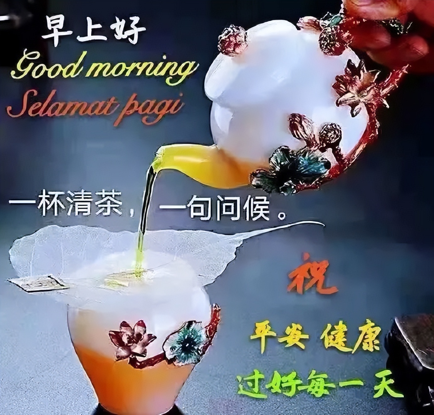 早上好最美的早安祝福表情图,早上好漂亮的早安问候动态图片