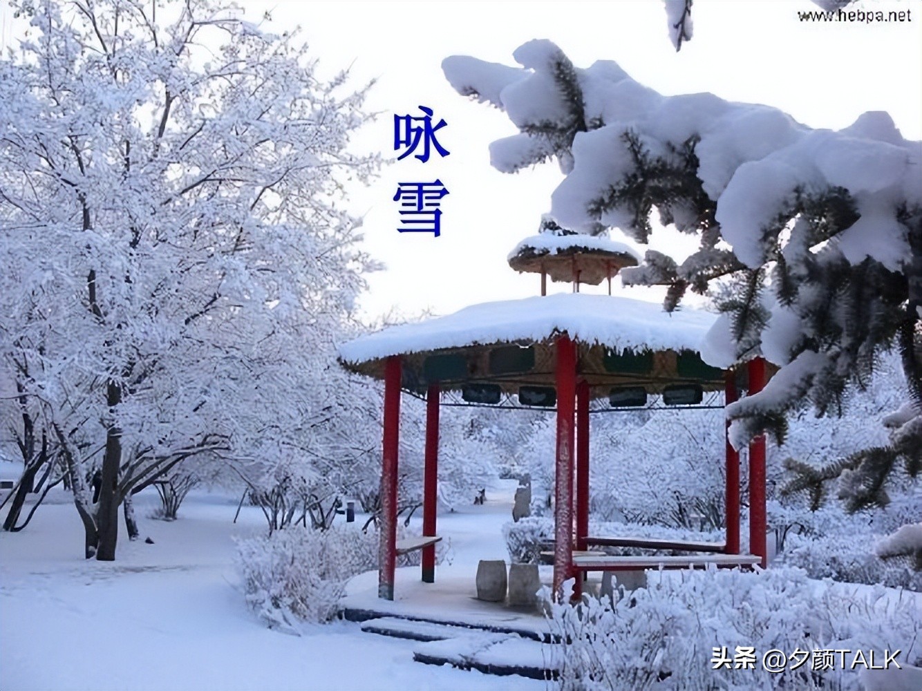 咏雪讲了什么故事,咏雪故事片段