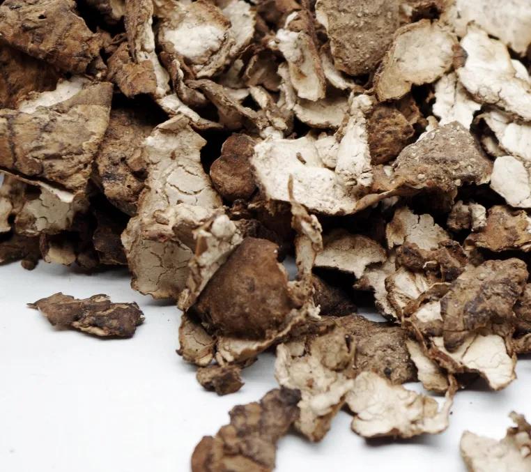 中药里的“全身是宝”系列之(六)——茯苓