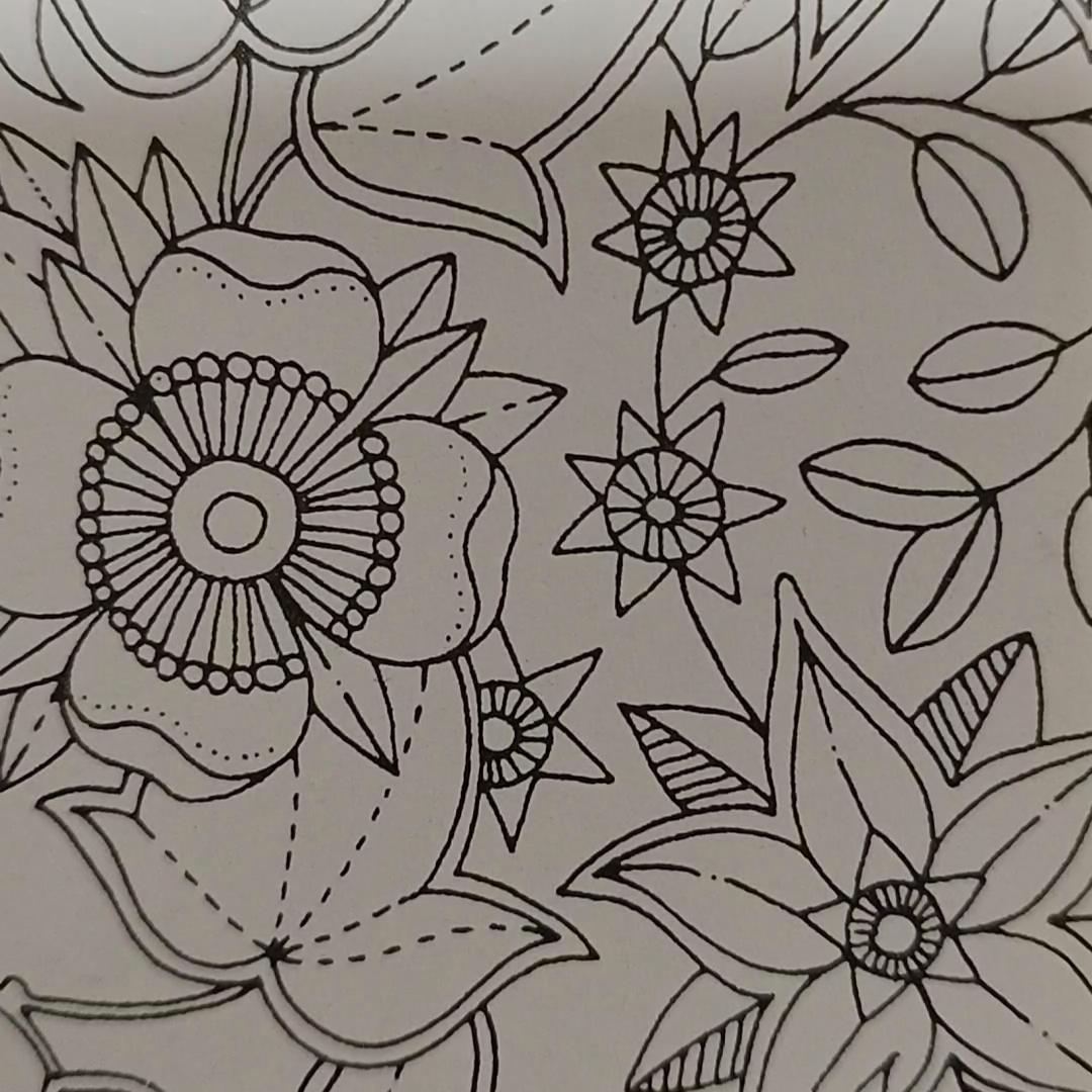 快嘴二婶#正能量分享